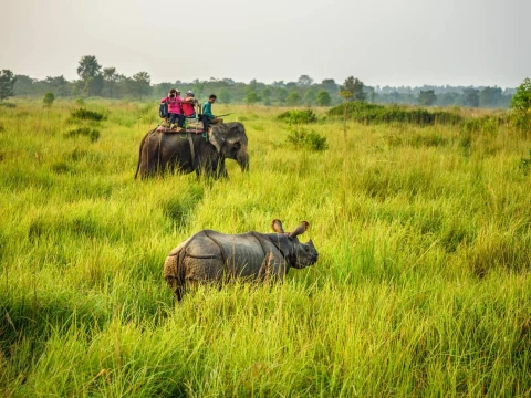 Kathmandu Chitwan Tour