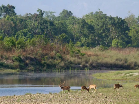 Bardia National Park Tour